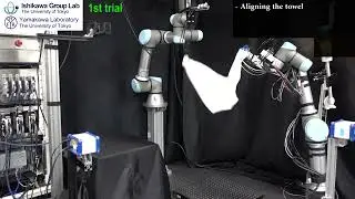 Robot System for Manipulating a Randomly Placed Towel-like Object