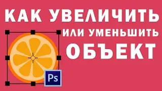 Как Увеличить (уменьшить) Объект в Photoshop