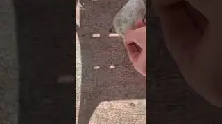 Breaking a random nut