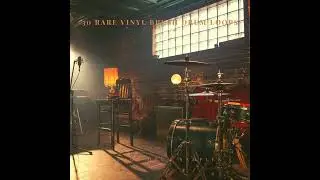 30 RARE VINYL BRUSH DRUM LOOPS demo