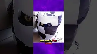FOTOS QUE PROVAM QUE GATOS SÃO NINJAS NA CAMUFLAGEM 