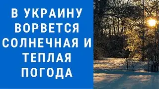 Погода на завтра, погода 13 февраля