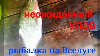 Рыболовные Истории! #1 Рыбалка на озере Вселуг