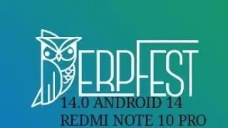 DERPFEST  | ANDROID 14 |  REDMI NOTE 10 PRO.