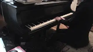 (HD) Robert Schumann, First Sorrow, Op. 68, No. 16