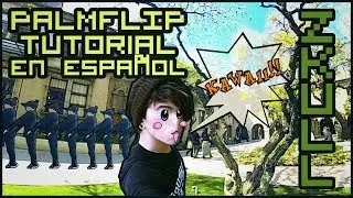 TUTORIAL PALMFLIP - en español - TZK