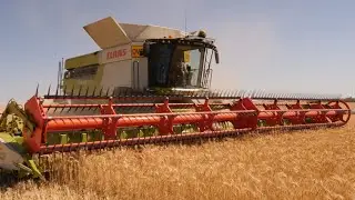 New Claas Lexion 7600 w/ Tracks on Demo in Western Australia | Harvest 2019