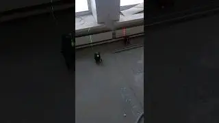 зелёный & красный