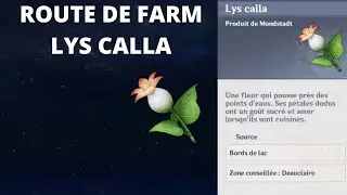 GET CALLA LILIES ON GENSHIN IMPACT
