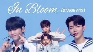 [STAGE MIX] ZEROBASEONE(제로베이스원) - In Bloom(인 블룸) #zerobaseone #zb1 #제로베이스원 #inbloom