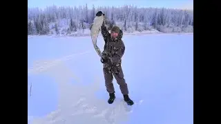 Вытащили налима на 6 кг. Зимняя подледная рыбалка на налима