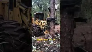 Swamp Logging