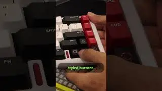 These Are Some Of the Best Looking Keyboards I have Ever Seen! (Iqunix)