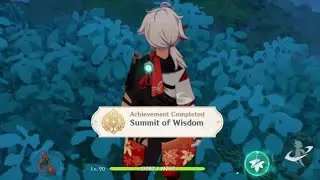 Getting the Summit of Wisdom achievement (Genshin Impact)