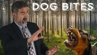 Dog Bite Lawsuit:  When Dogs, Cats, or Domestic Animals Attack
