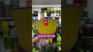 Неделя акций в Агромаркет№1#растения #сад #огород