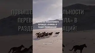 28 июля 2024 г.