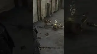 Hogwarts Legacy ⚔️ Агрессивные Доспехи #shorts