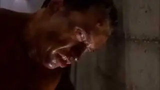 Arnold Schwarzenegger 