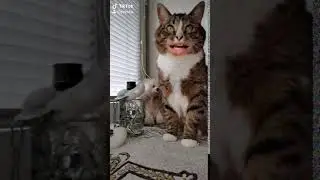 Готовьтесь мальчики 