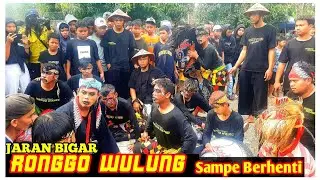 JARAN BIGAR RONGGO WULUNG ||Baru Mulai Sampe Berheti ive Gembong Saradan Karangmalang
