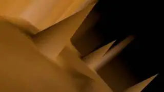 3D Animation Bird Flight **ROUGH DRAFT**