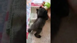 Скоро все закончится.. 