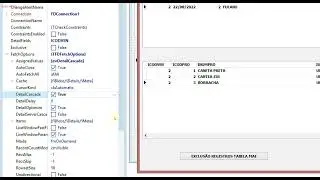EXCLUSÃO MASTER DETAIL - FIREDAC - DELPHI 10.3