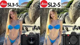 Leica SL3-S VS Leica SL2-S Camera Comparison