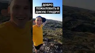 Добро пожаловать в ТУНДРУ!)) #кольскийполуостров #дикаяприрода #трейлраннинг #тикток
