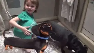 Дети и животные - Кормим любимую собаку Боню кашкой собственного приготовления