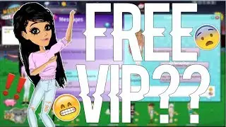 Would You Buy A Noob Vip? // MSP Experiment