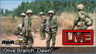 “Olive Branch, Dawn”  - Arma 3