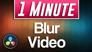 Davinci Resolve : How To Blur Video Footage
