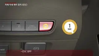 K9 - Electronic Stability control