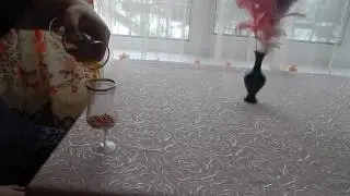 Video Magic. Two glasses. (by K.M)