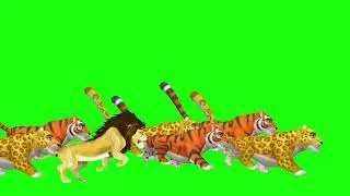 tiger - cheetah - lion stampede green screen ! 