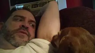Dachshund 101. Very aggressive carnivore.
