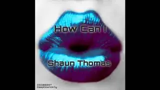 Shaun Thomas - How Can I (Original Mix)