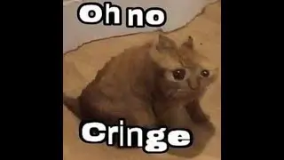 архив