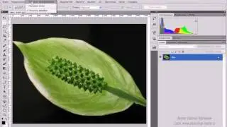 Знакомство с Adobe Photoshop CS5 - Часть 1