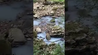 Река Мацеста, Сочи
