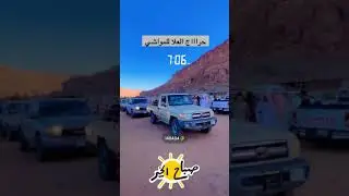 اسعار المواشي بحراج العلا  ، الاربعاء 1446/3/29