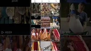 Как подать апелляцию на заблокированное видео в ТикТок