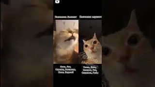Азпахаххпхвха, все так и есть)))