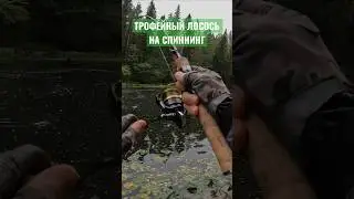 Вот это ТРОФЕЙ 🏆 Вот это ПОРЫБАЧИЛИ 🎣 
