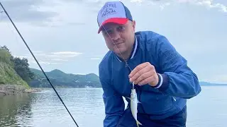 Ловля ставриды на Черном море.#rockfishing #рыбалканачерномморе #ловлянапилькер #туапсинскийрайон