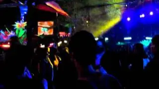 Wonderland 2010