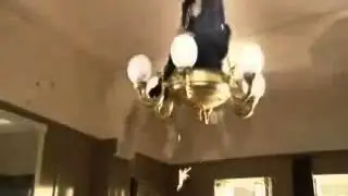 Мастер и Маргарита   кот Бегемот против НКВД