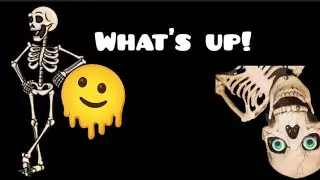 What's up!